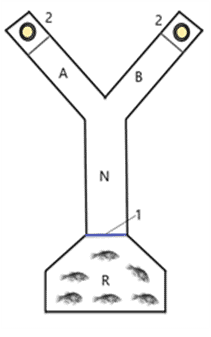 Sistema "Y" para pruebas de atractabilidad 